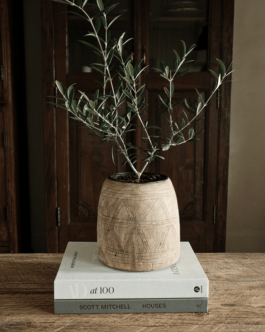 Bleached Teak Wood Pot 8"