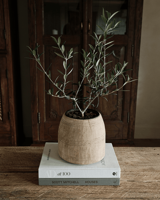 Rustic Wood Vessel 8"