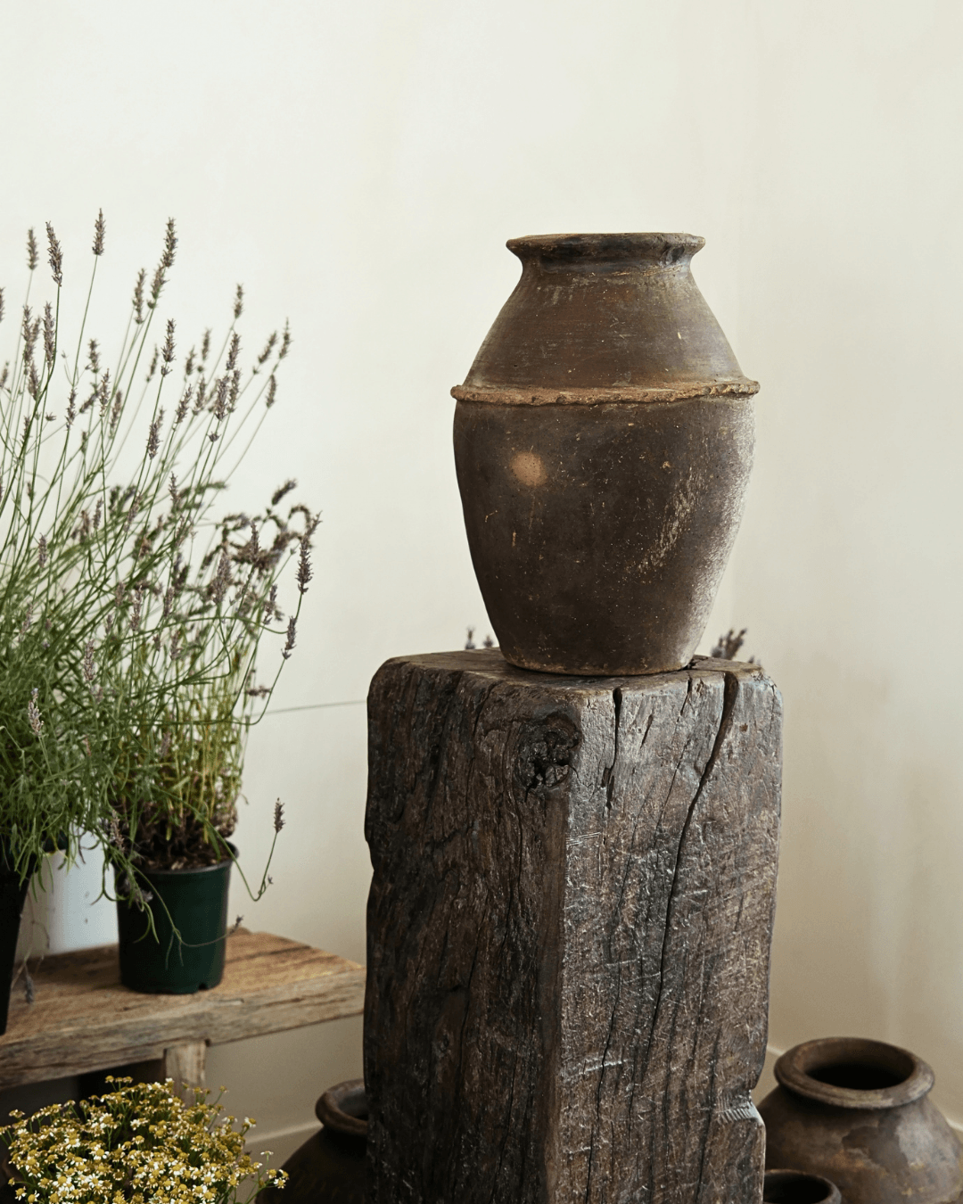 Antique Clay Pot 13