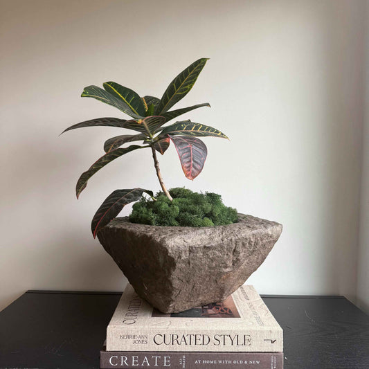 Antique Heavy Stone Mortar Planter | Vintage Hand-Carved Limestone Bowl
