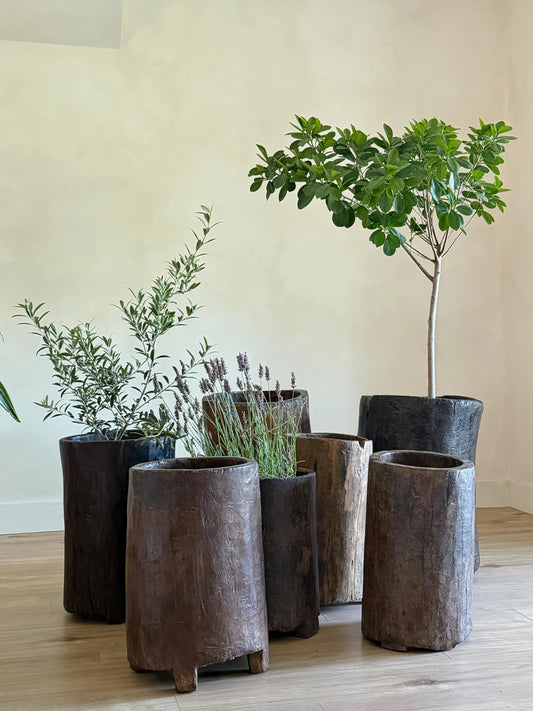 Antique Naga Wood Planter