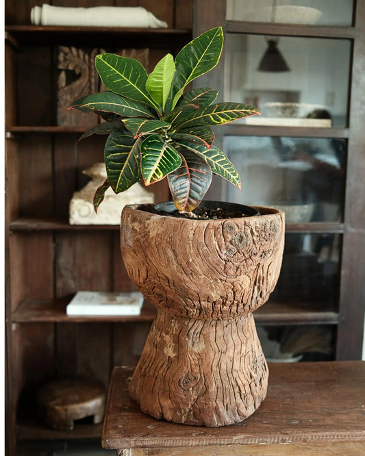 Vintage Teak Ukhali 15.5"