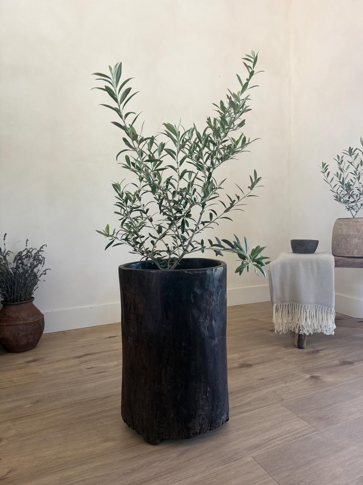 Antique Naga Wood Planter 21"