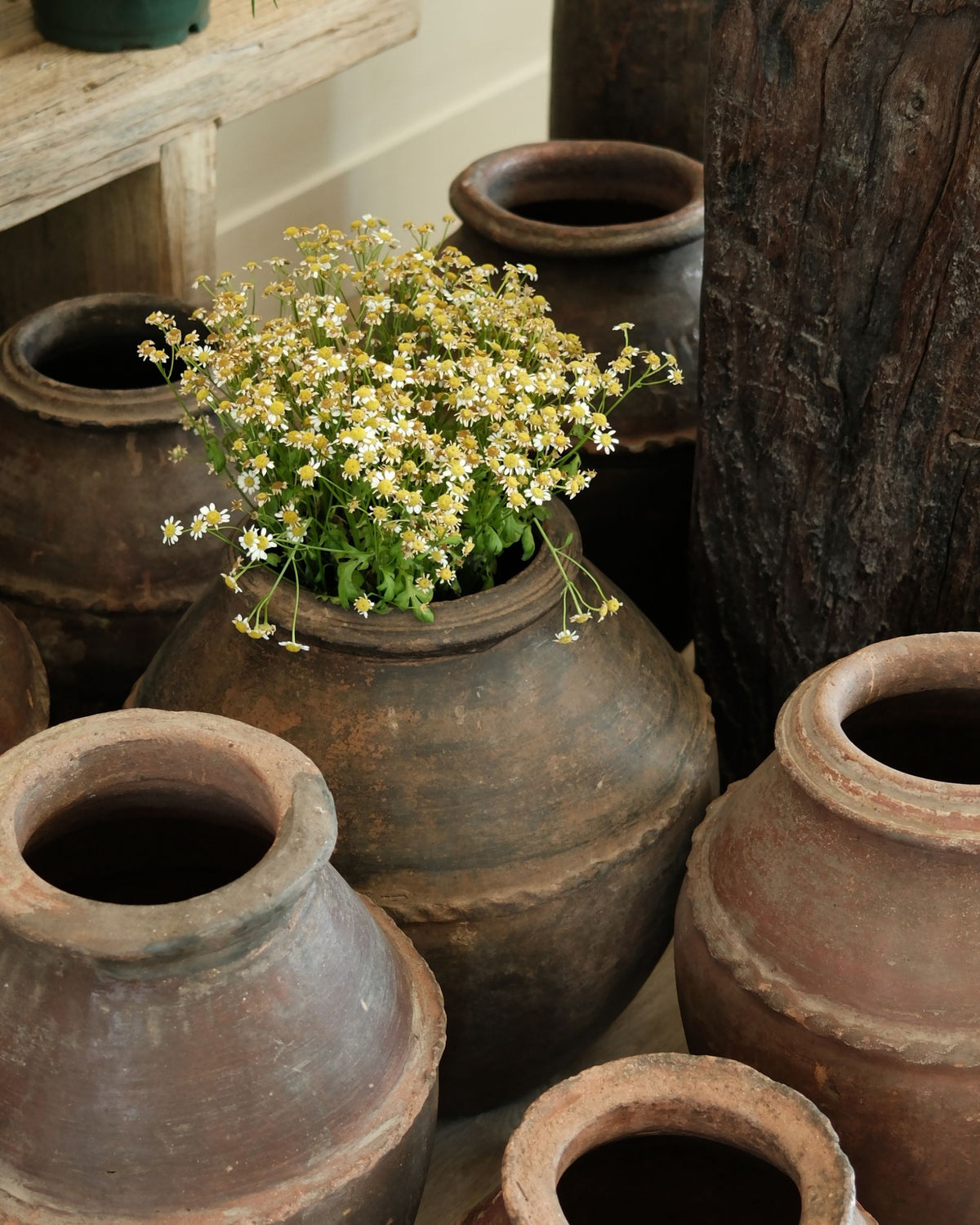 Antique Brown Terracota Vase