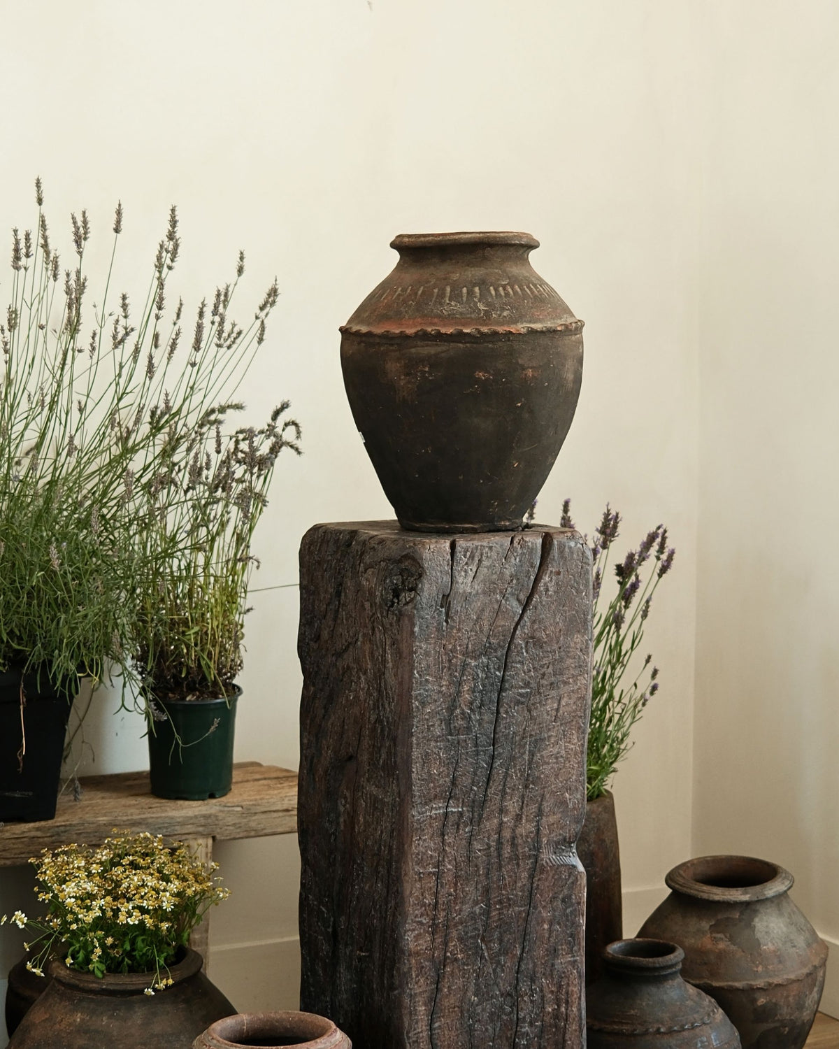 Terracotta Water Vessel