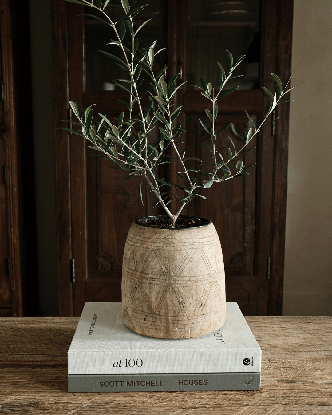 Bleached Teak Wood Pot 8"