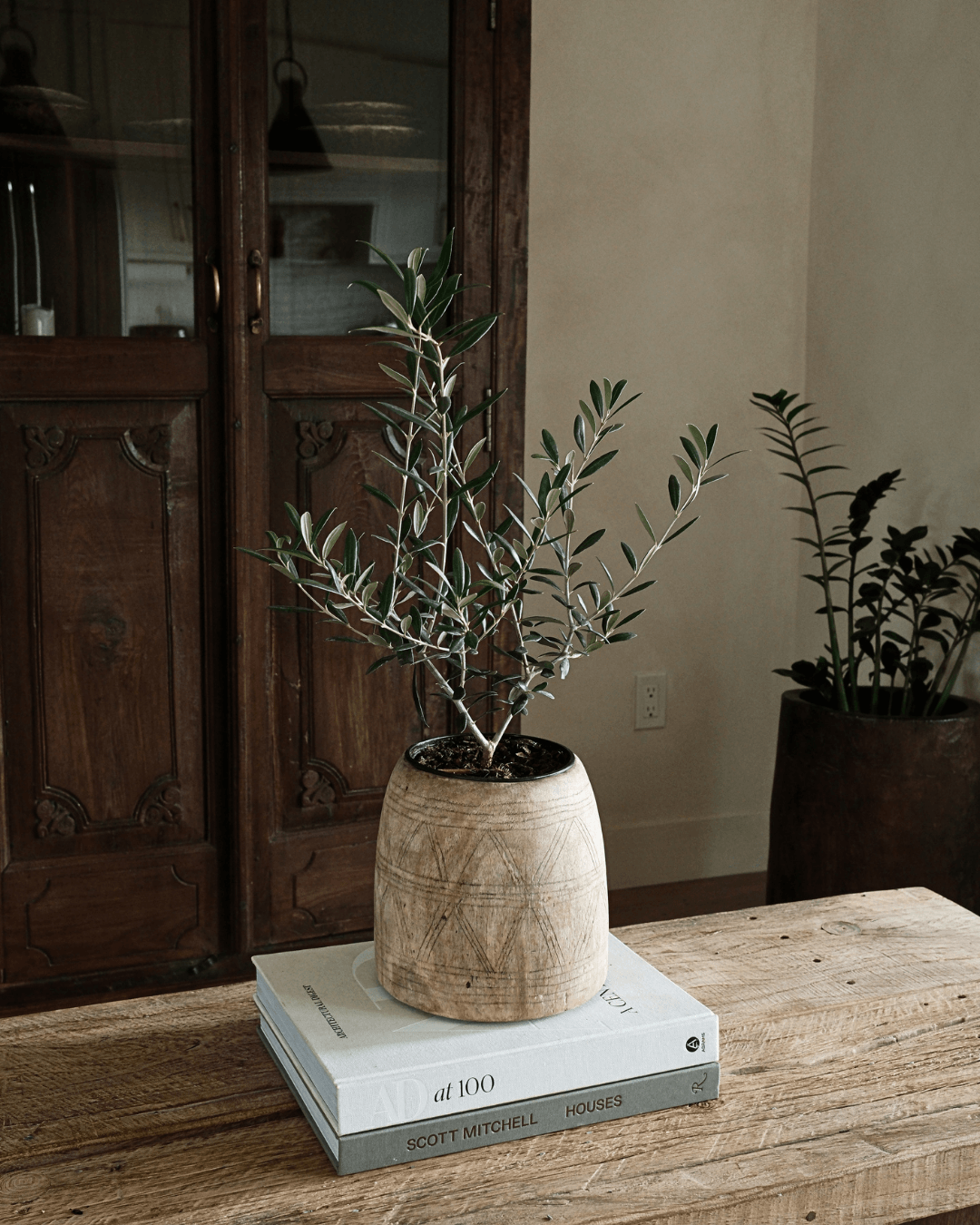 Bleached Teak Wood Pot 8"