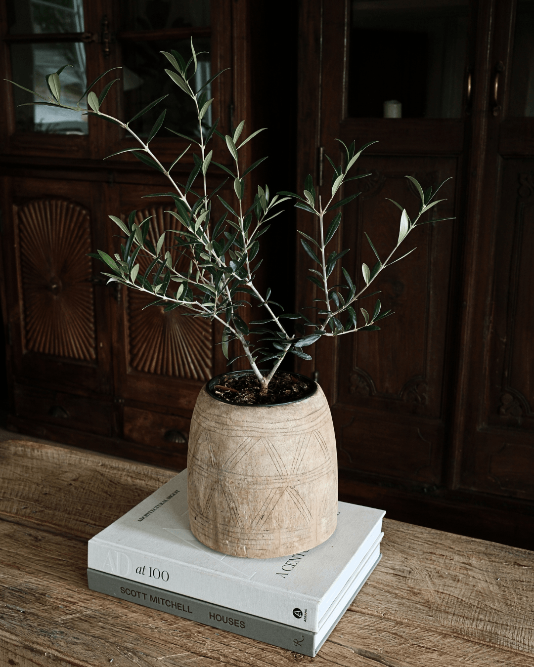 Bleached Teak Wood Pot 8"