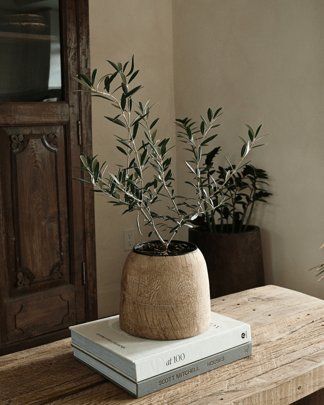 Bleached Teak Wood Pot 8"