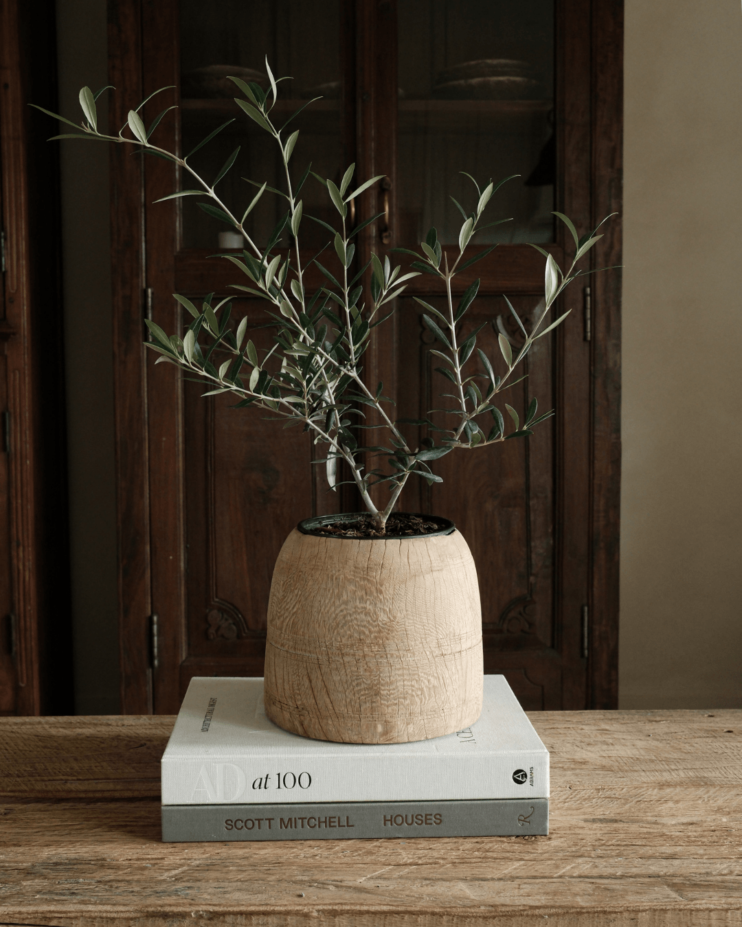 Bleached Teak Wood Pot 8"