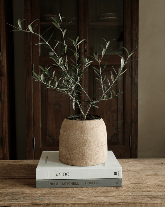 Bleached Teak Wood Pot 8"