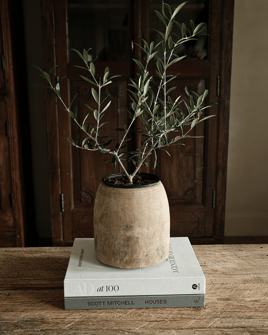 Hand Carved Teak Wood Planter 8.2"