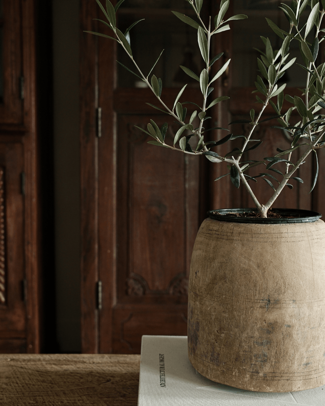 Hand Carved Teak Wood Planter 8.2"