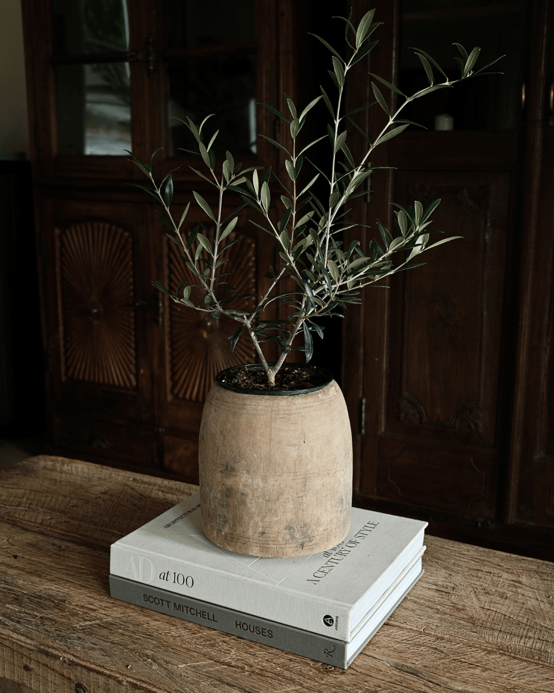 Hand Carved Teak Wood Planter 8.2"