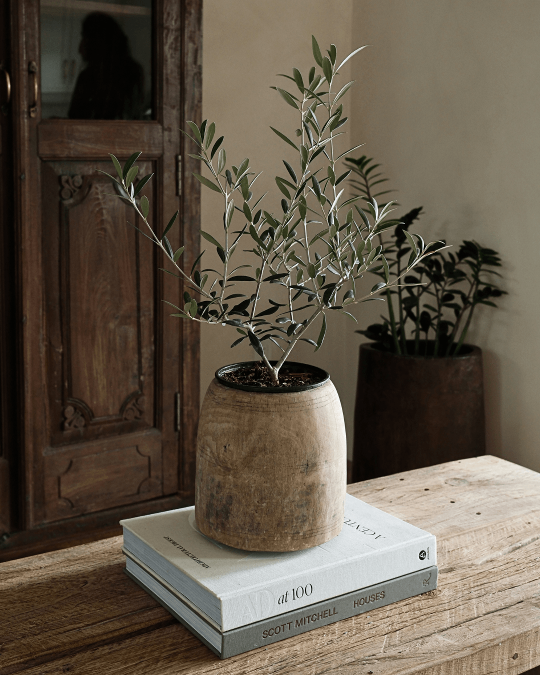 Hand Carved Teak Wood Planter 8.2"