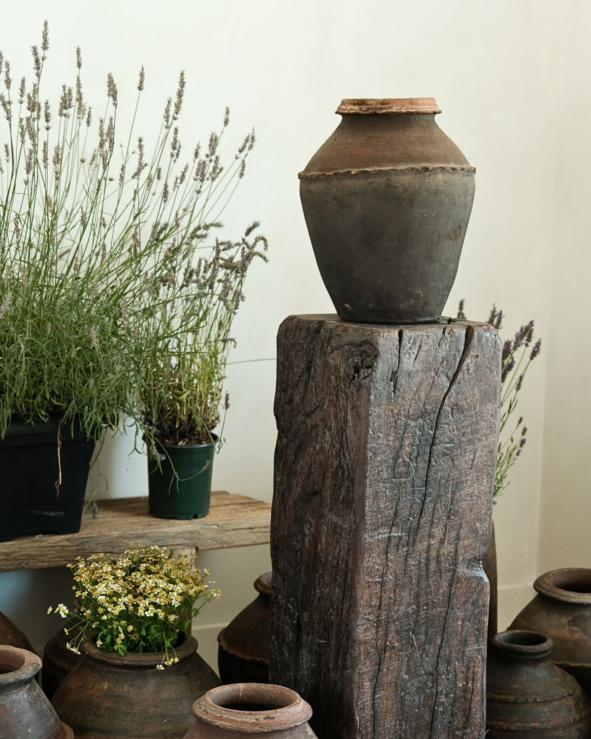 Antique Brown Terracota Vase
