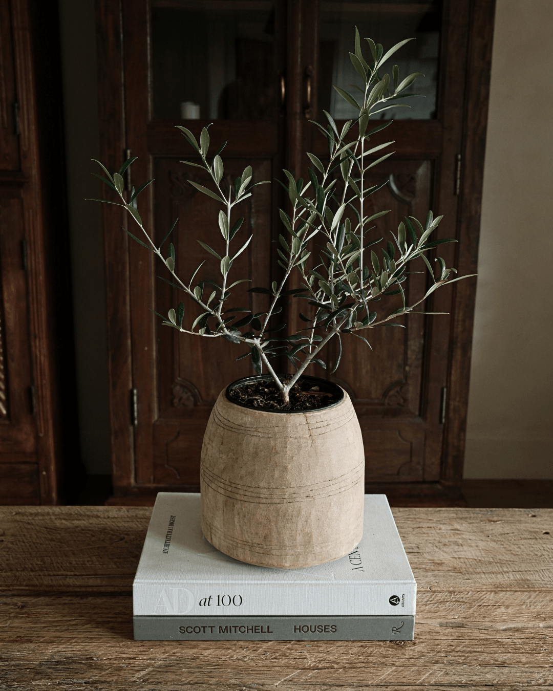 Rustic Wood Vessel 8"