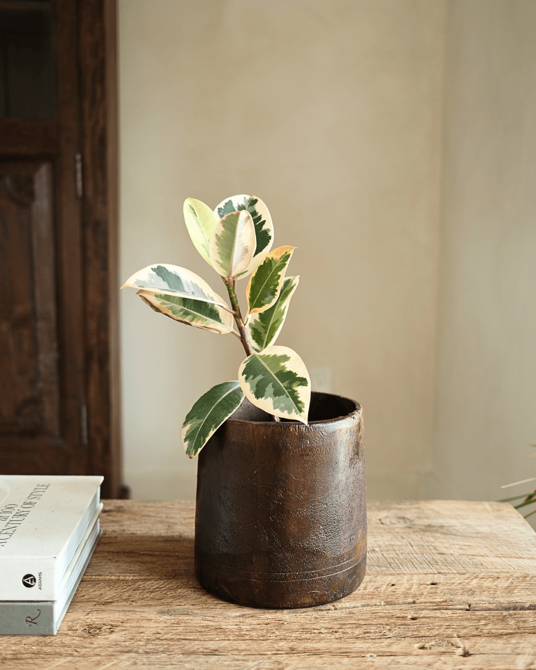 Hand Carved Pot 7.5"