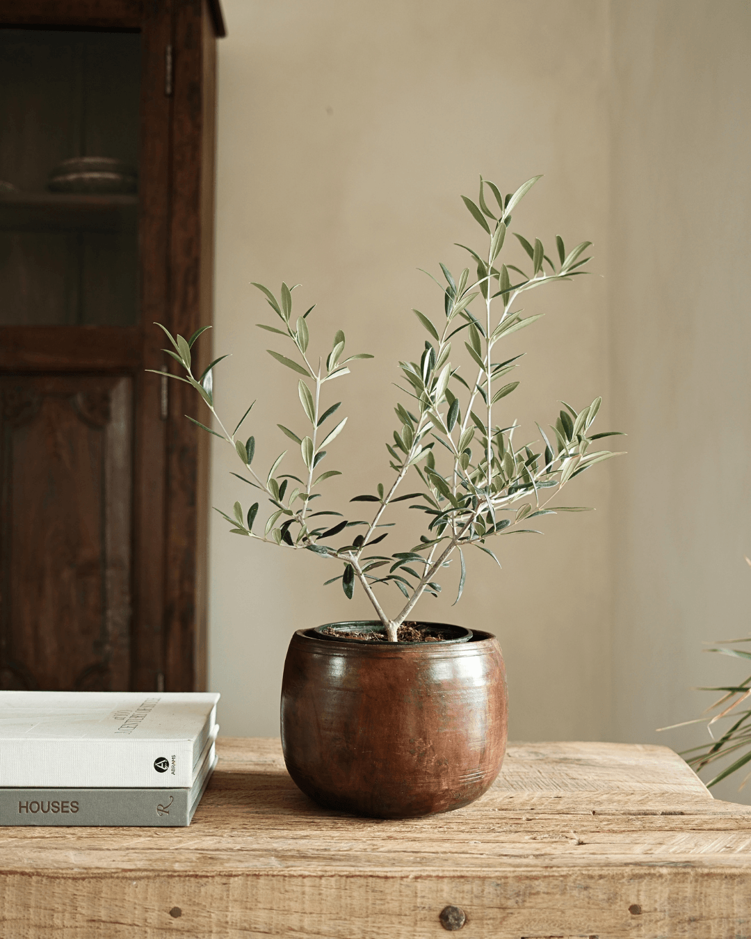 Rounded Wood Planter Bowl 6.2"