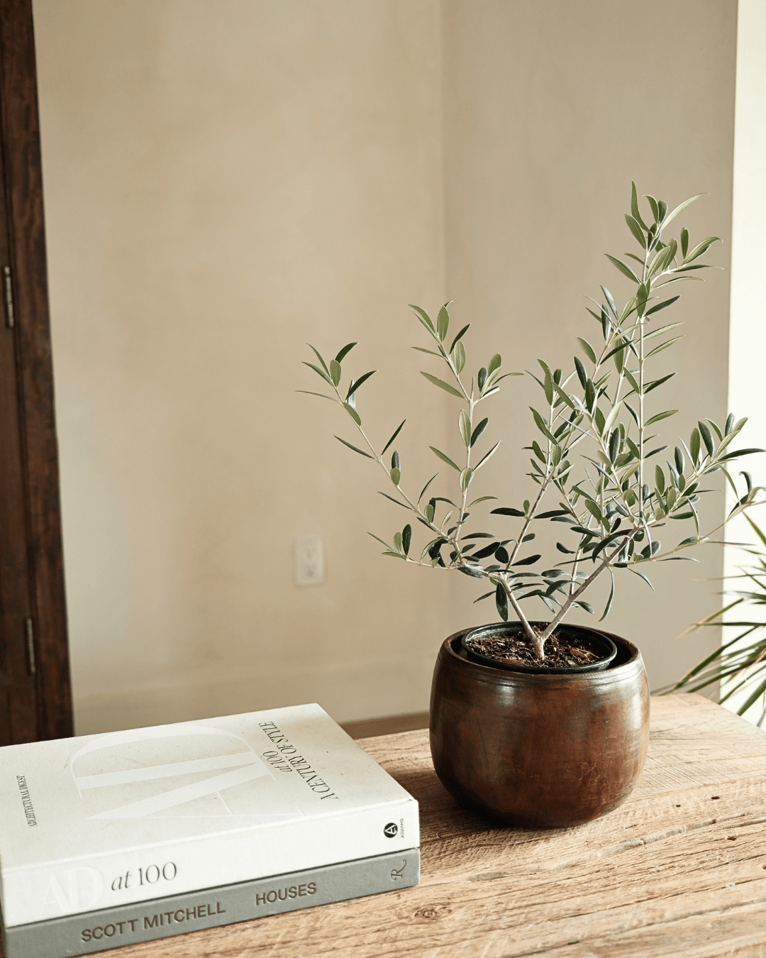 Rounded Wood Planter Bowl 6.2"