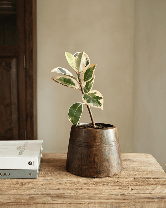 Flared Wood Planter 6.5"