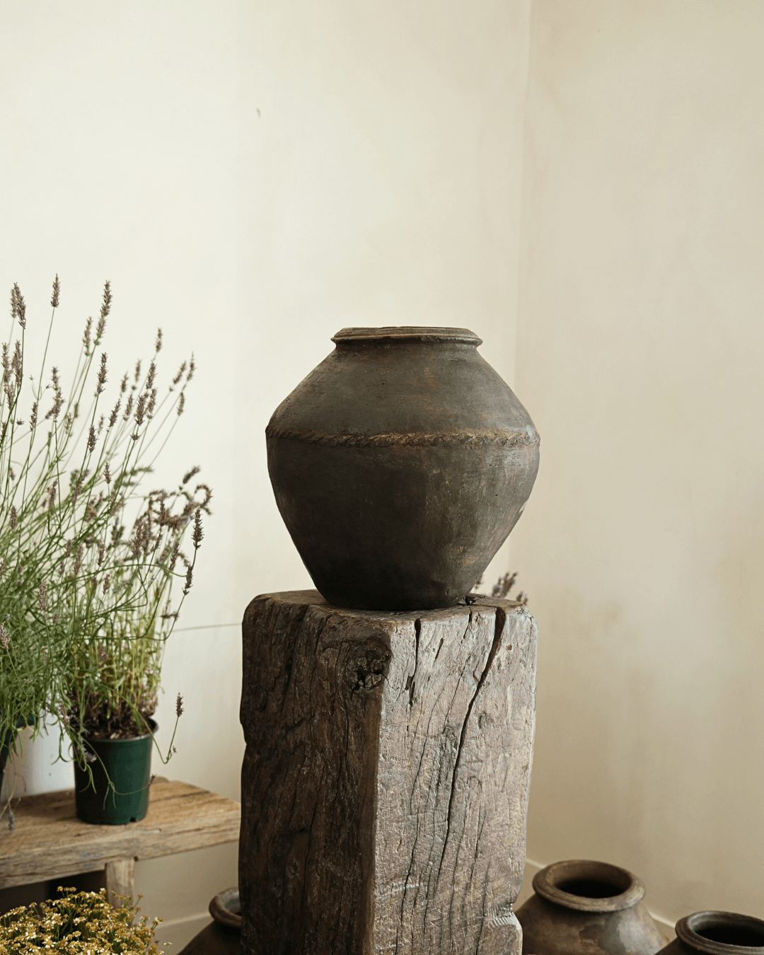 Vintage Clay Pot
