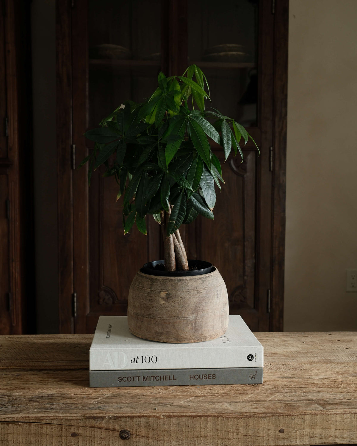 Vintage Teak Wood Pot 8.5"