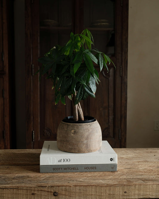 Vintage Teak Wood Pot 8.5"