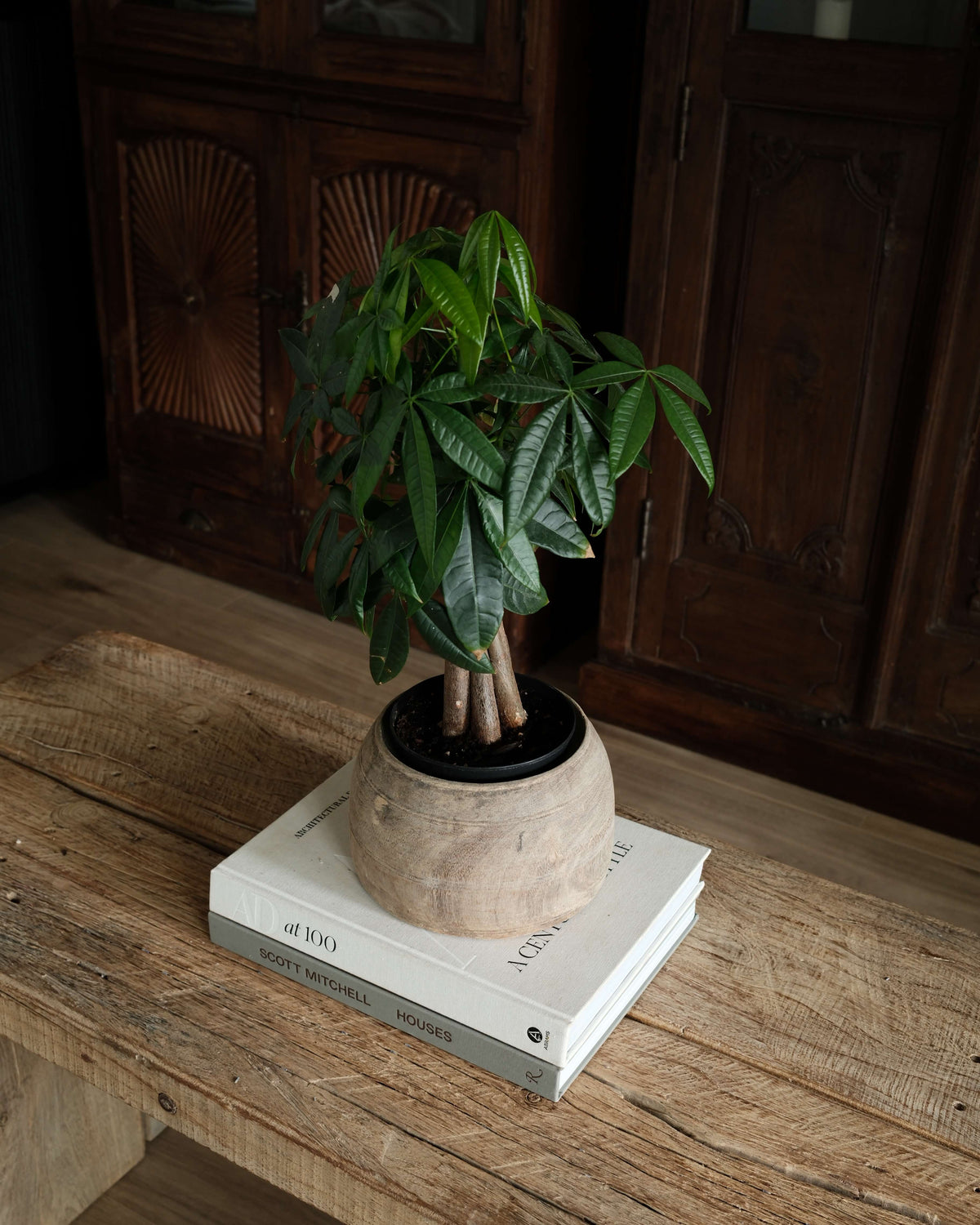 Vintage Teak Wood Pot 8.5"