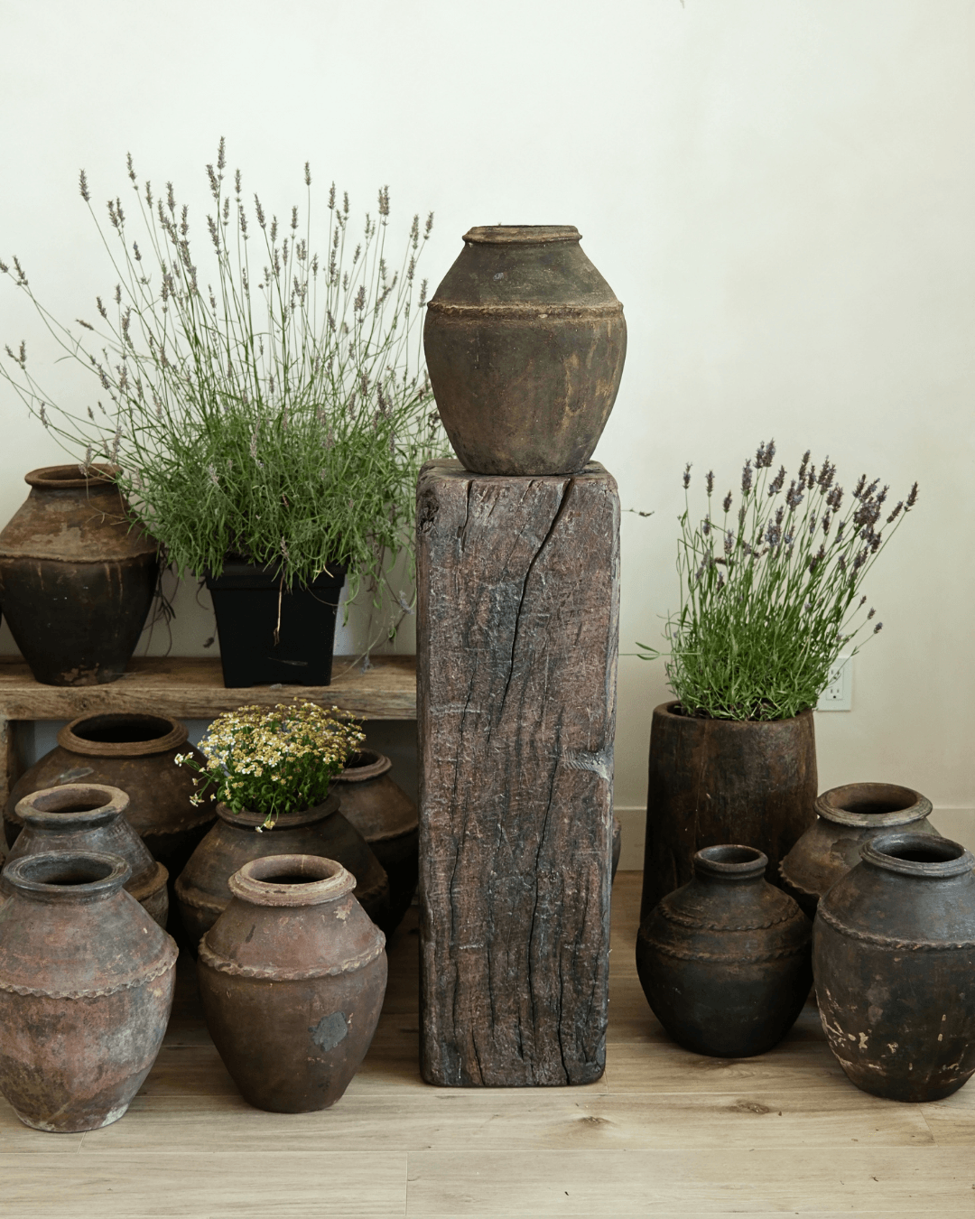 Antique Clay Pot 17
