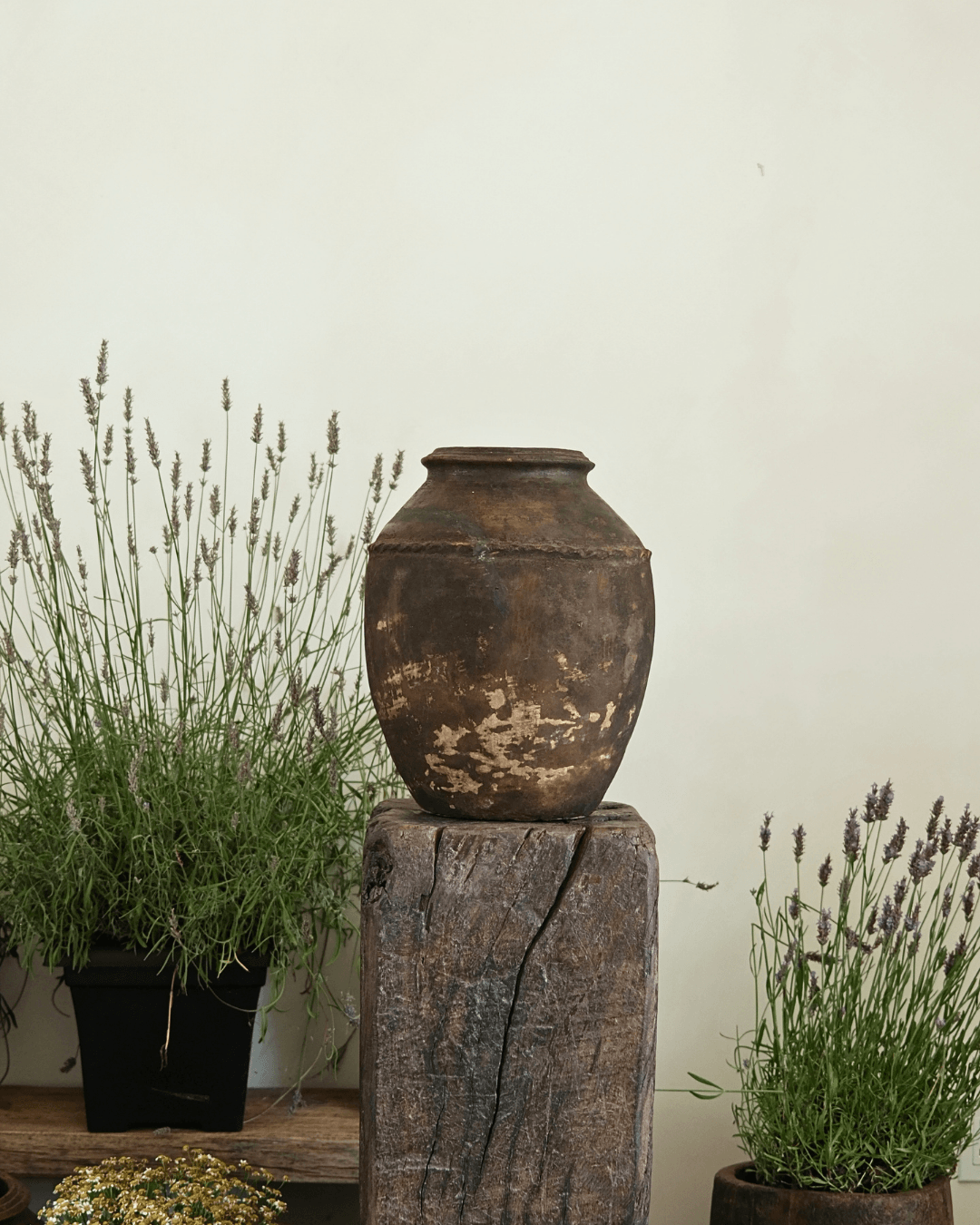 Antique Clay Pot 18