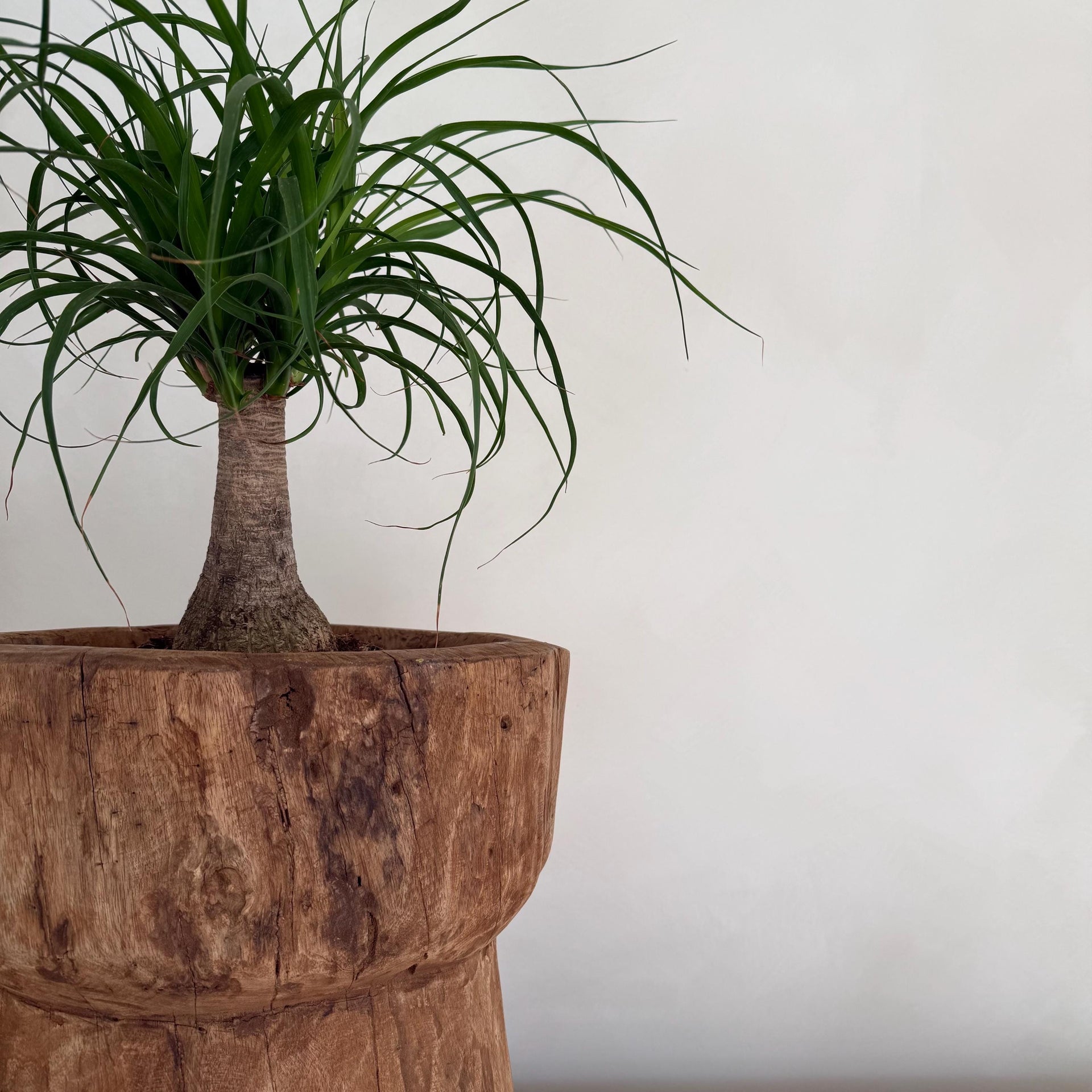 Antique Primitive Wooden Planter, Rustic Ukhali Side Table - Project Kalaā