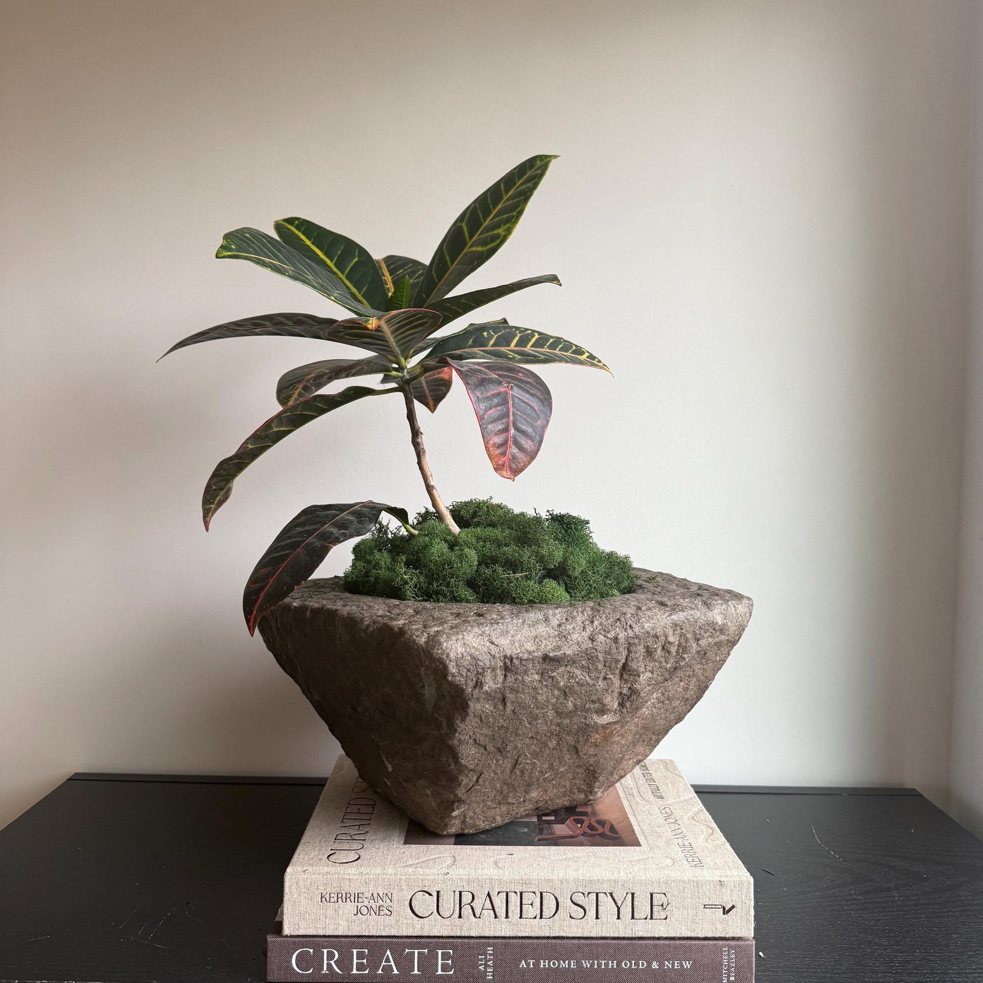 Antique Heavy Stone Mortar Planter | Vintage Hand-Carved Limestone Bowl