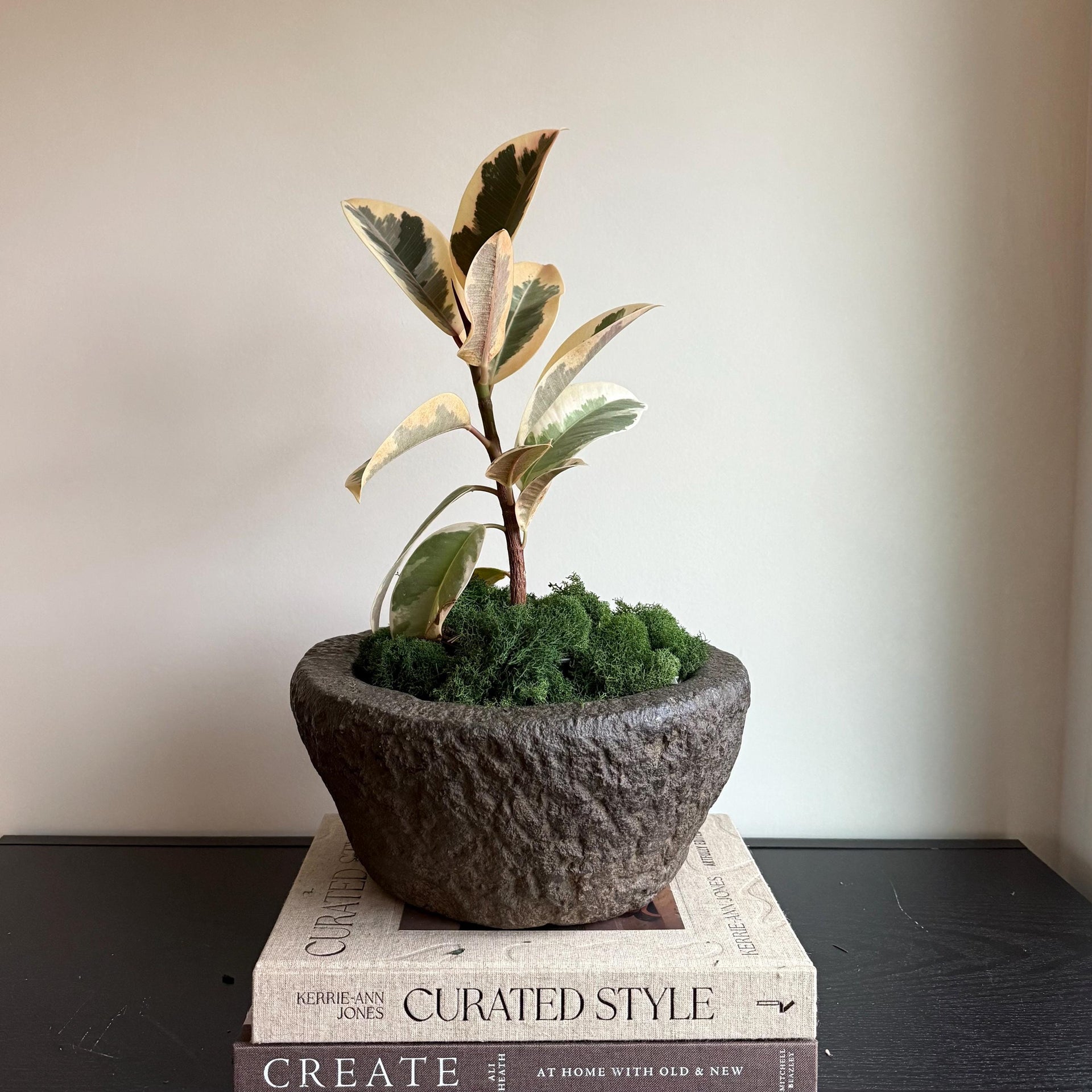 Antique Heavy Stone Mortar Planter | Vintage Hand-Carved Limestone Bowl