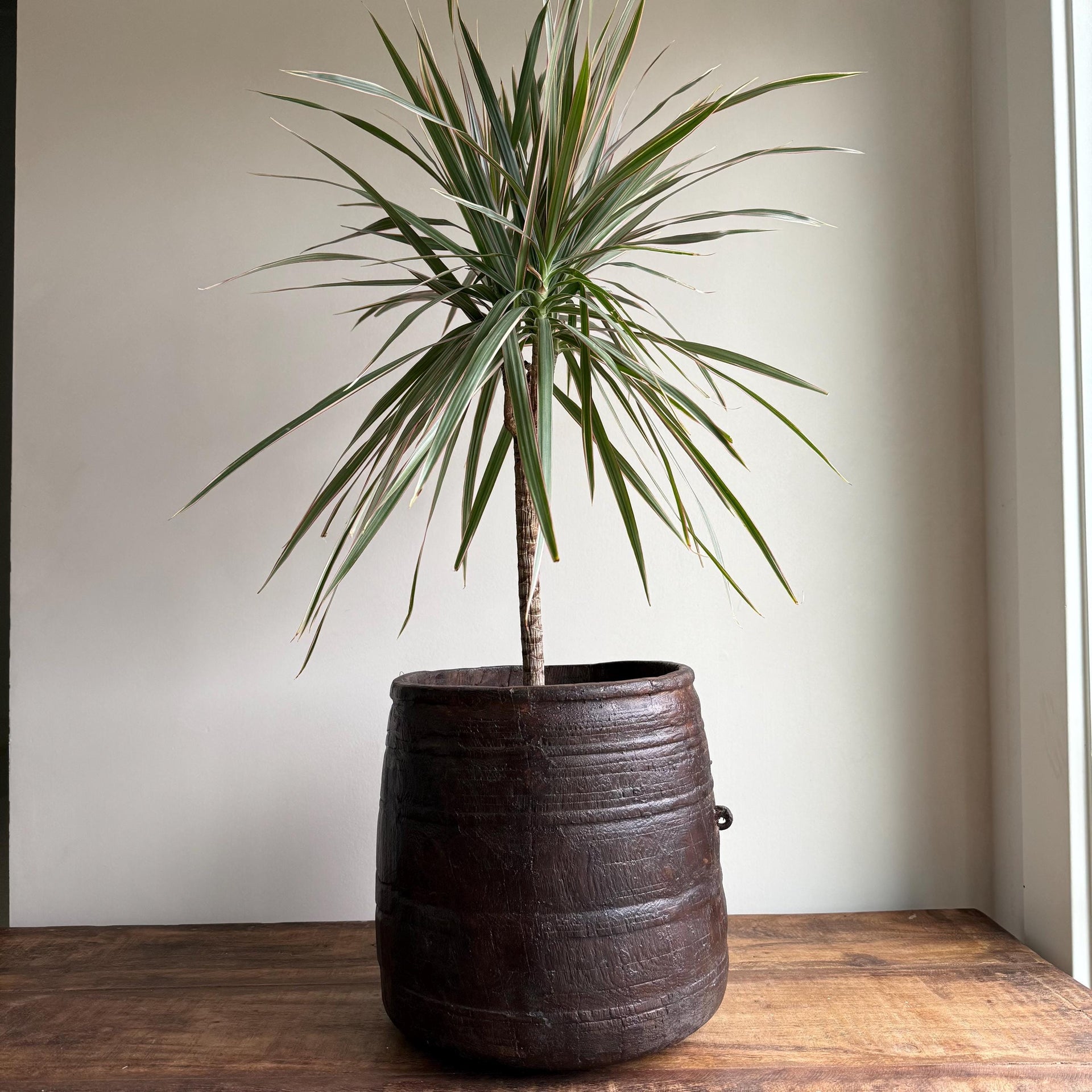 Vintage Wooden 10.5" Planter, Rustic Teak Pot, Antique Wooden Vase, Wabi Sabi Decor