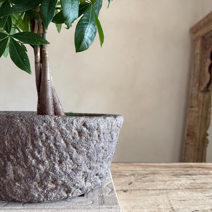 Antique Heavy Stone Mortar Planter - Project Kalaā