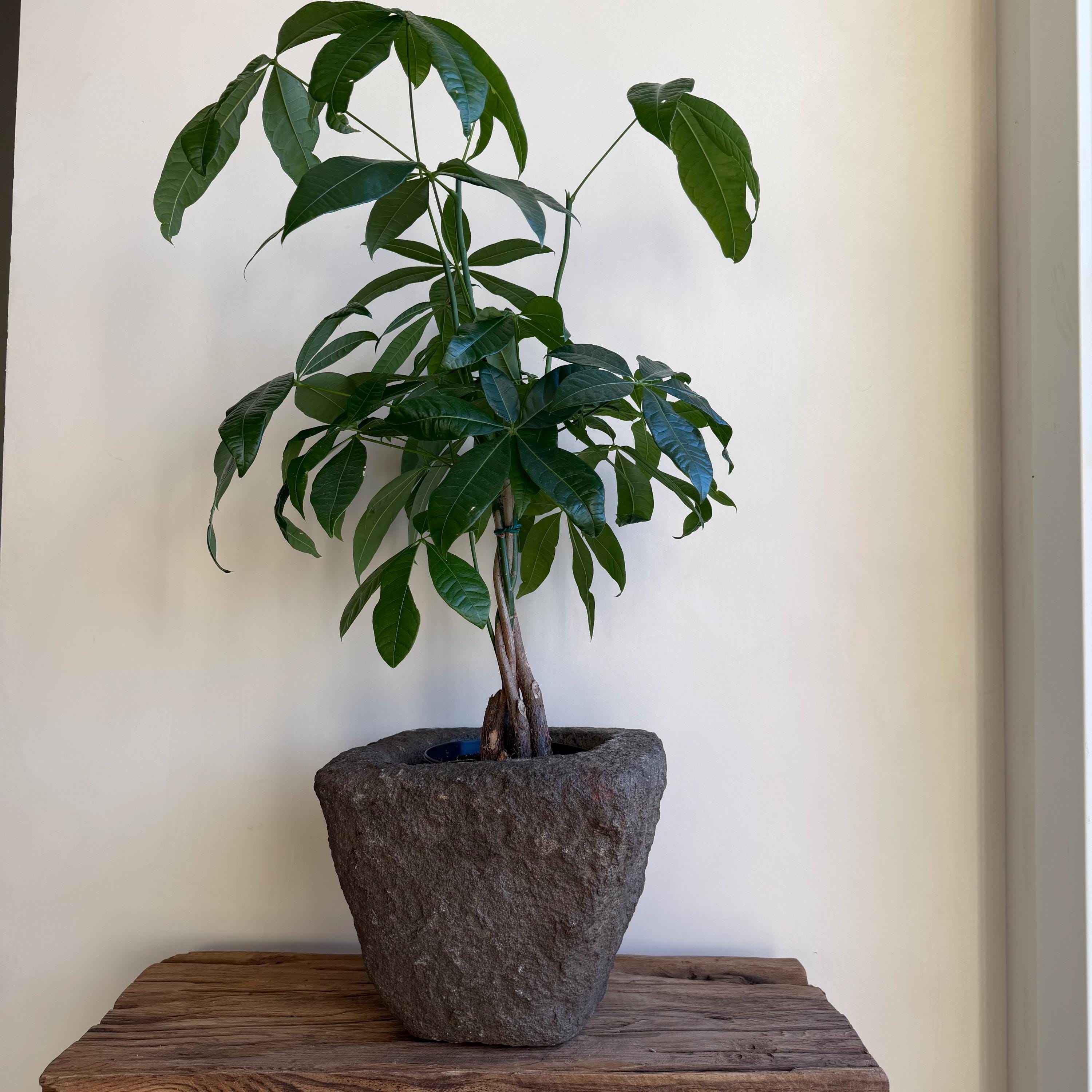 Antique Heavy Stone Mortar Planter | Vintage Hand-Carved Limestone Bowl
