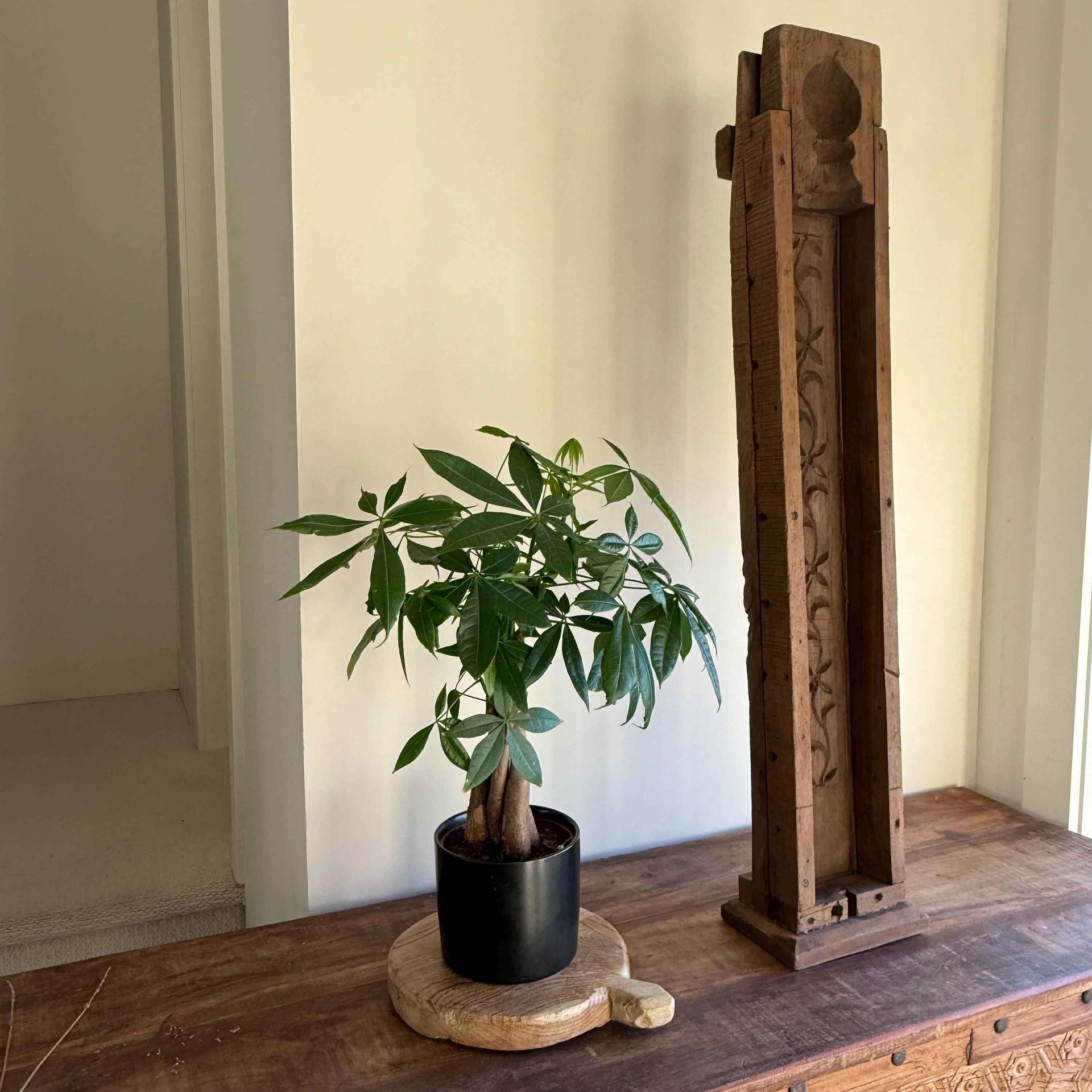 Vintage Concrete Mold 37" | Wood Console Decor