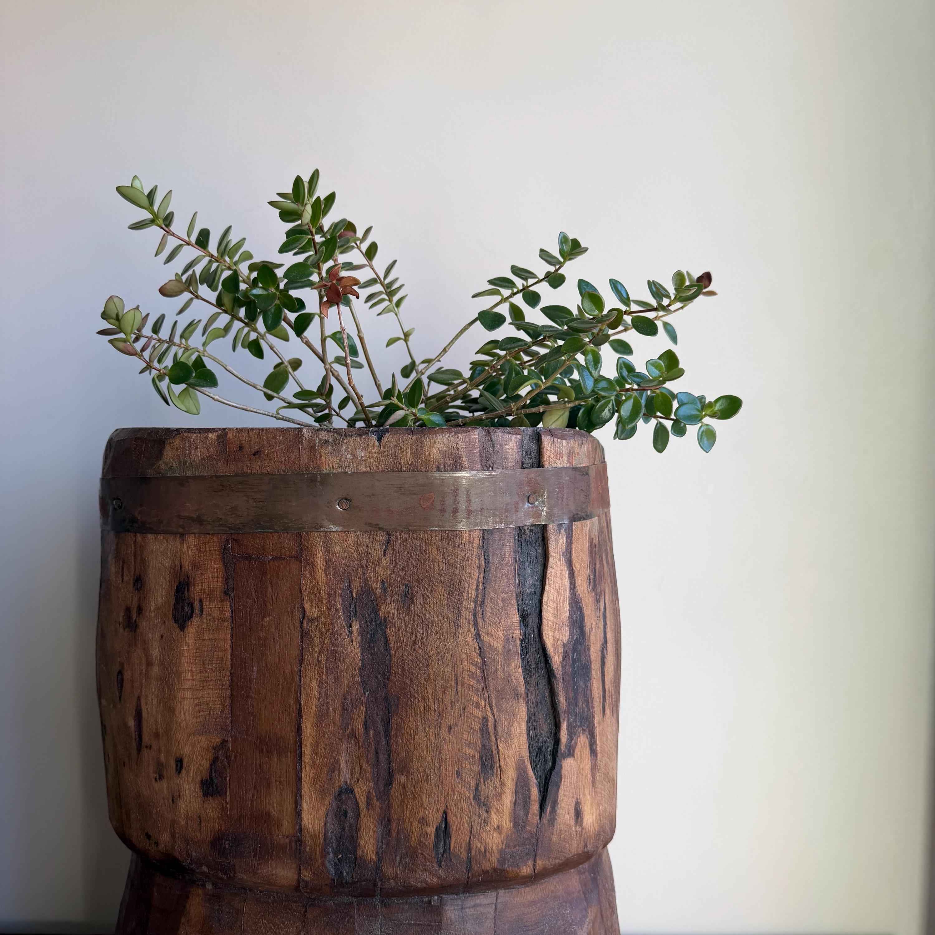 Antique Wooden Ukhali Planter 17" | Rustic Side Table