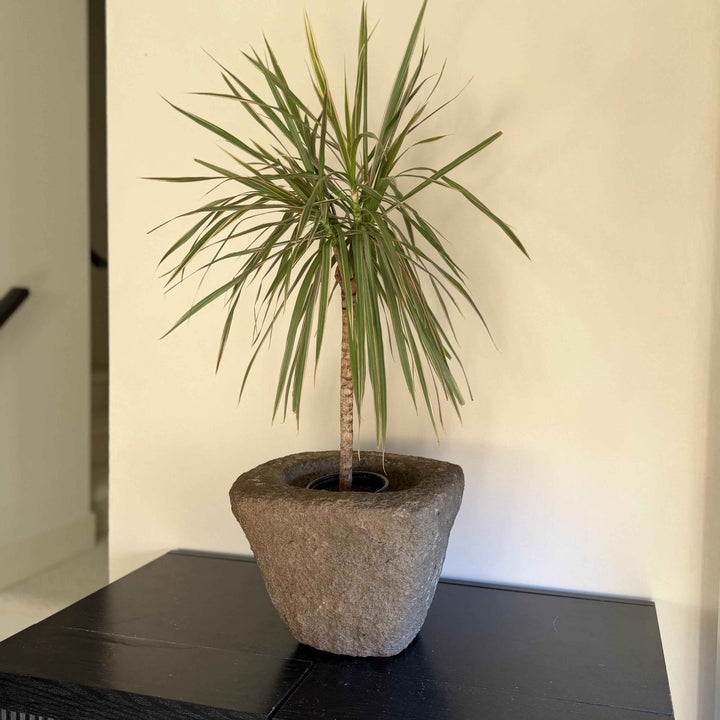 Antique Heavy Stone Mortar Planter | Vintage Hand-Carved Limestone Bowl