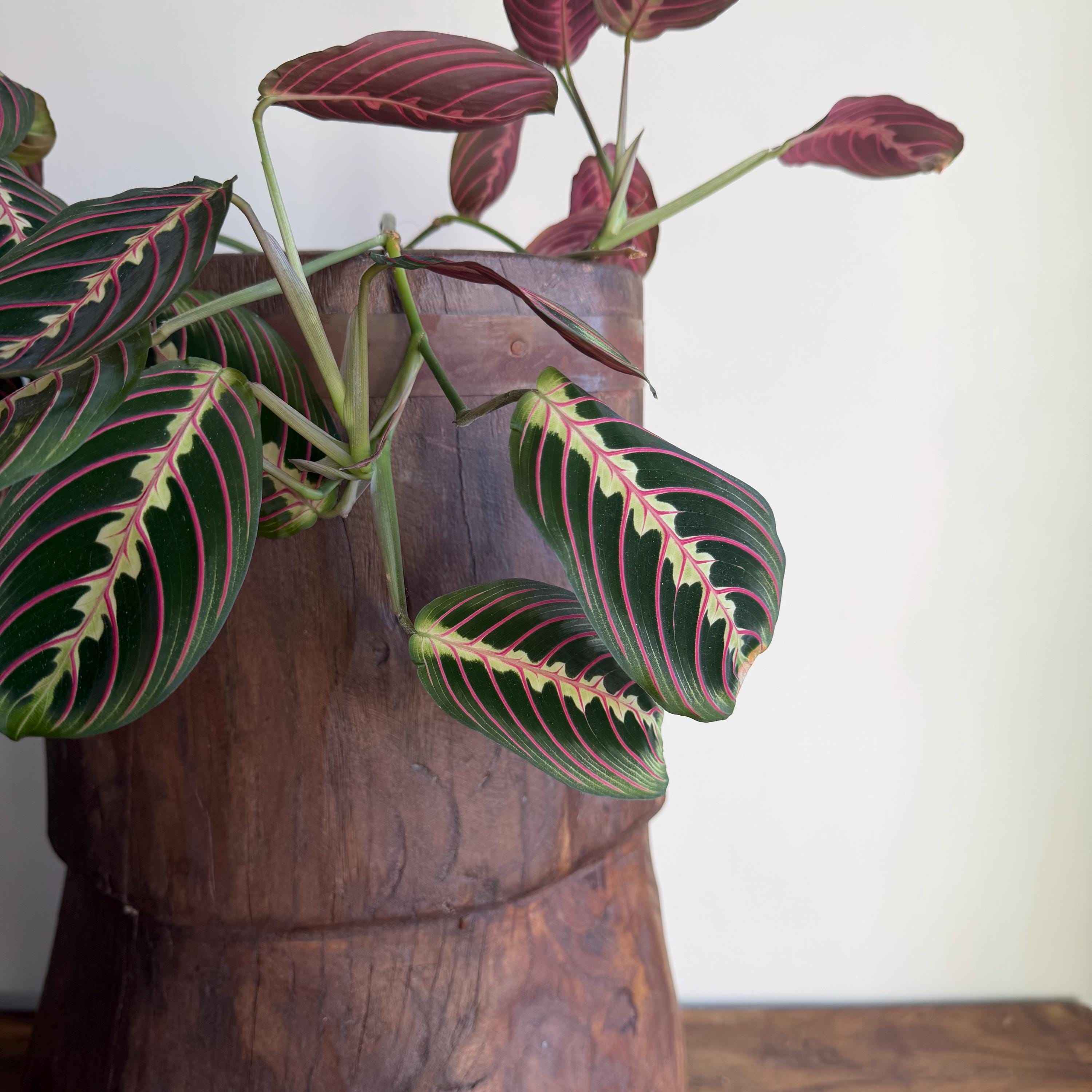 Antique Wooden Ukhali Planter 20.5" | Rustic Side Table