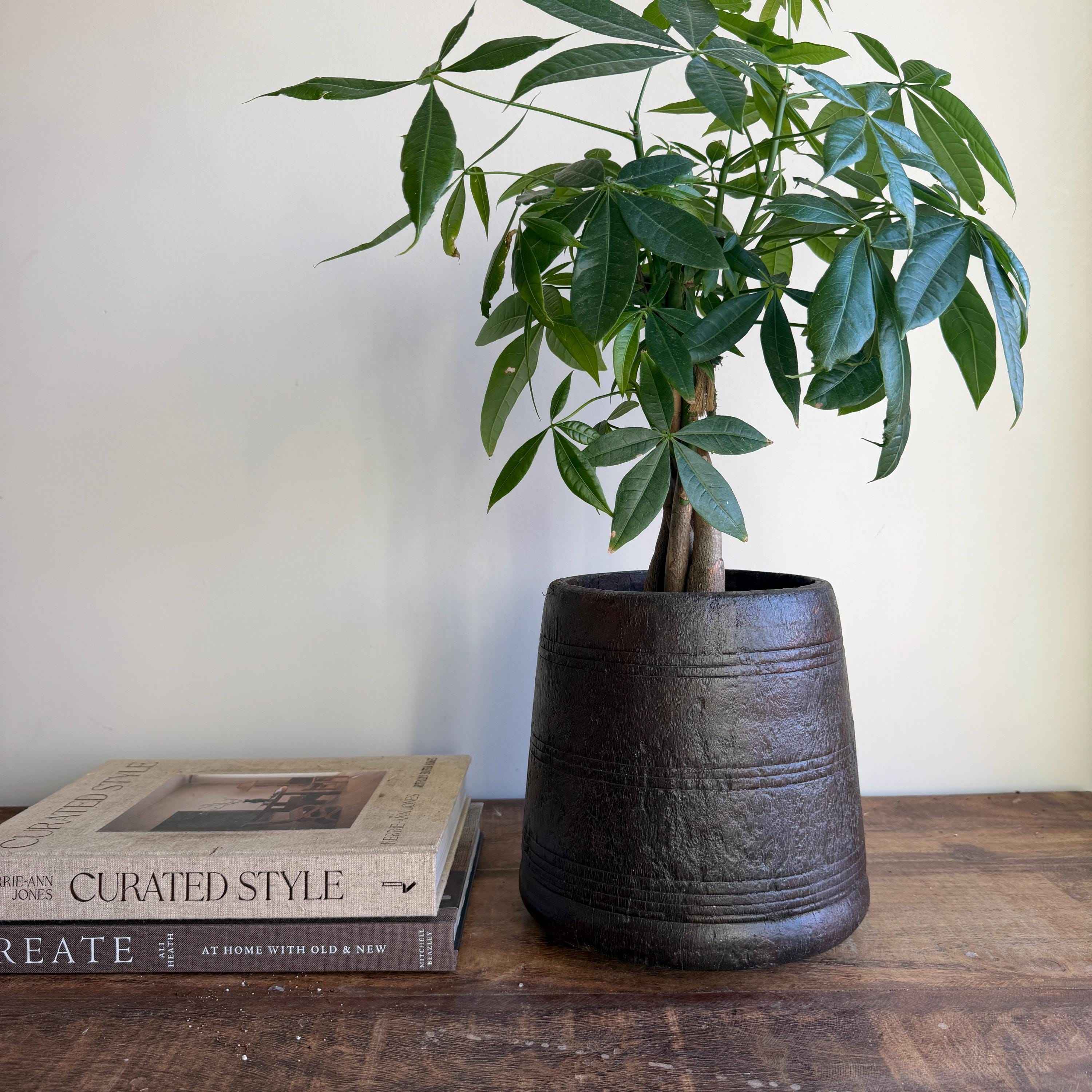 Vintage Wooden 8" Planter, Rustic Teak Pot, Antique Wooden Vase