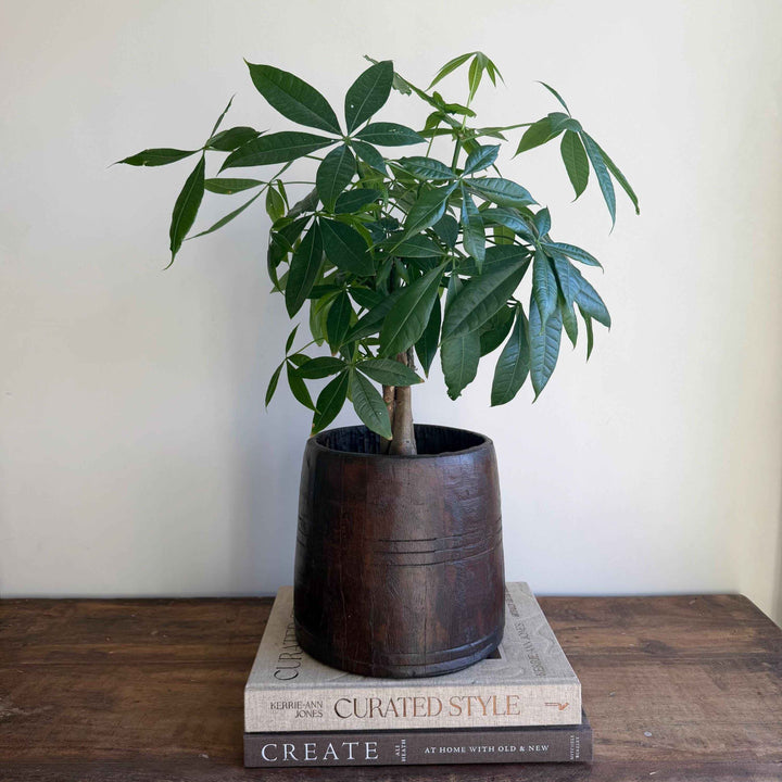 Vintage Wooden 7.5" Planter, Rustic Teak Pot, Antique Wooden Vase