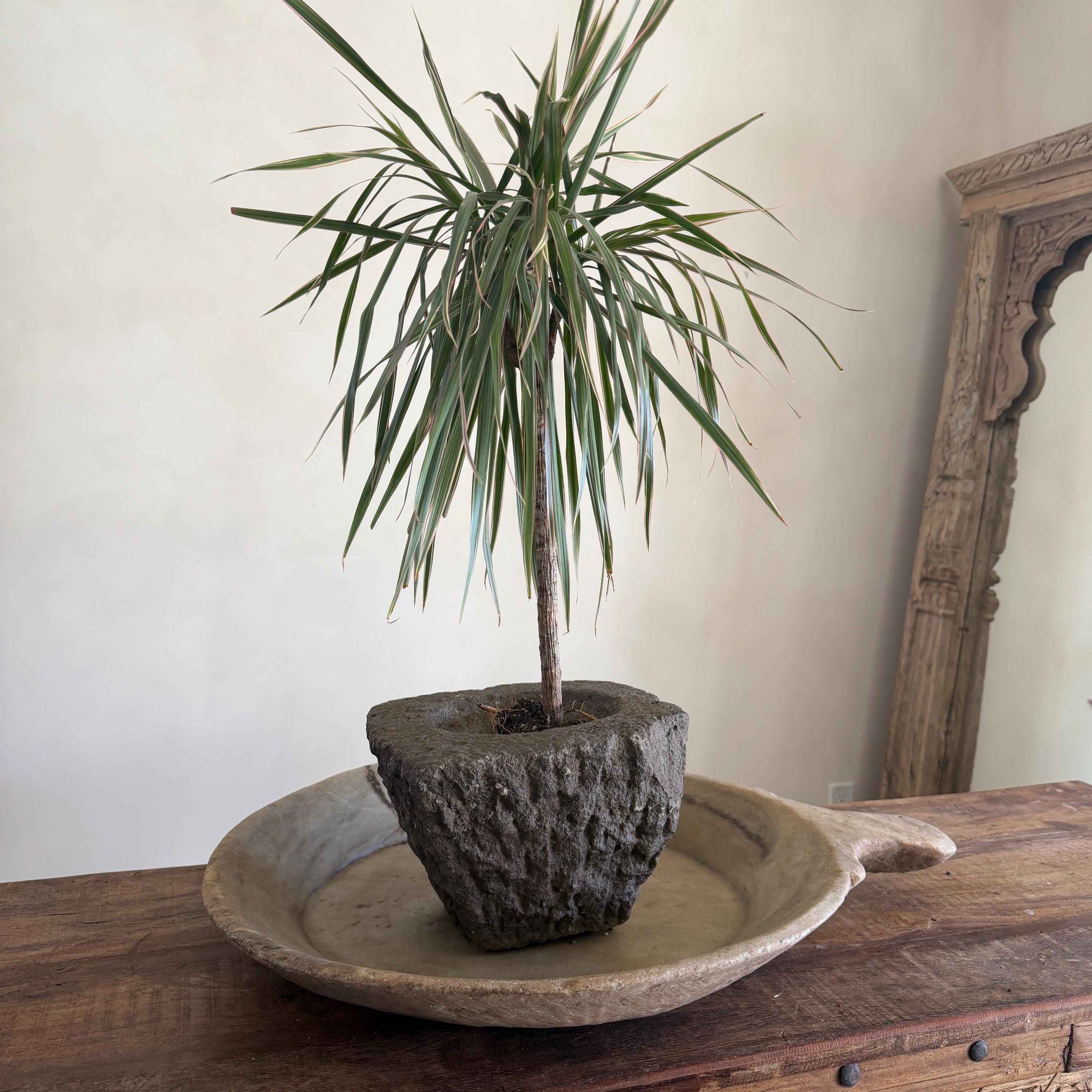 Stone Mortar Planter 46