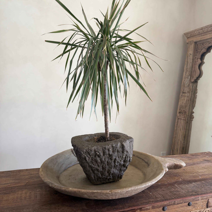 Stone Mortar Planter 46