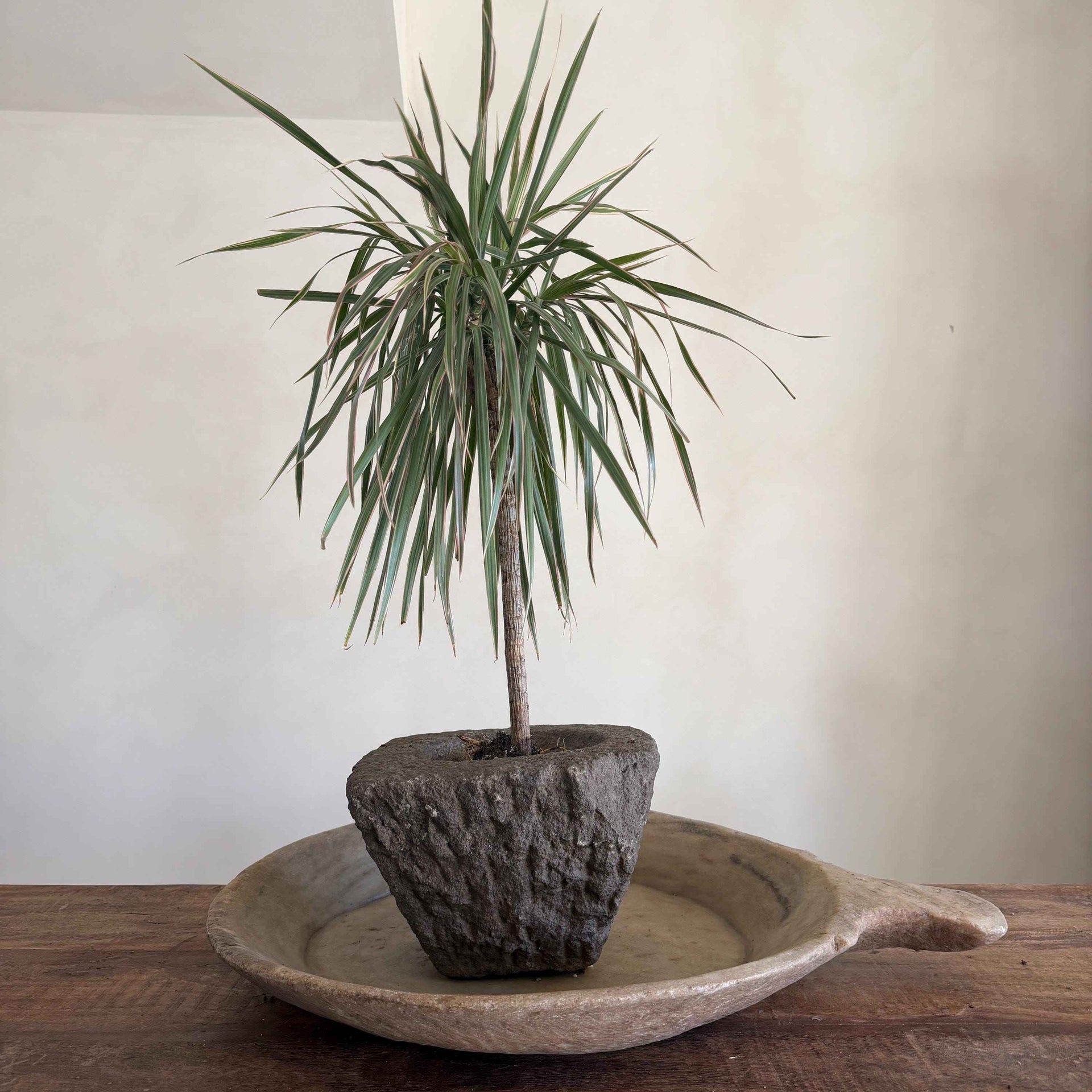 Stone Mortar Planter 46