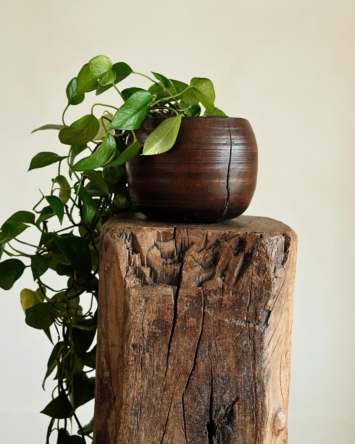 Vintage Pedestal Stand 36"