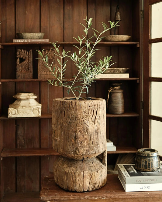 Ukhali Planter